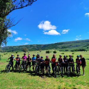 Imagen de WhatsApp 2023-11-11 a las 15.52.19_7fbcc952