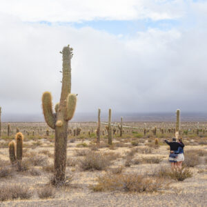 Ticket: Salta JUL 2024