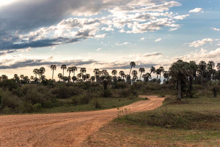 Explorando la naturaleza en primera persona: El Parque Nacional El Palmar, un paraíso para el cicloturismo y el trekking.